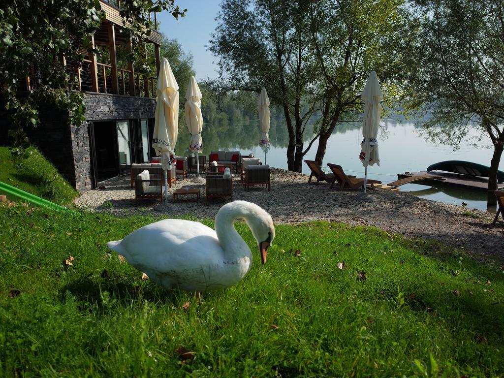 Zagreb Camp Bungalows Rakitje Luaran gambar
